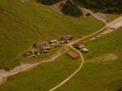 2013-09-08_6Falkenh-Steinfalk (026).JPG